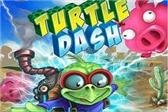 game pic for Turtle Dash  touchscreen